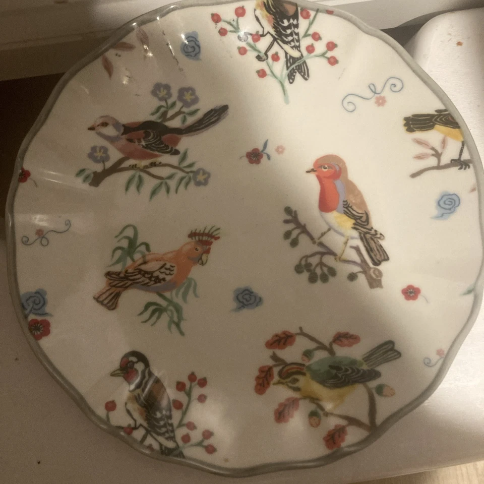 "Plato Anthropologie Nathalie Lete Birds 8"" contorno verde raro"  Foto 1 de 4