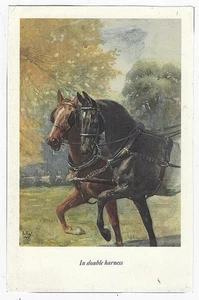 In Double Harness Lucy Kemp-Welch Black Beauty Horse Vintage Illustration - Picture 1 of 1