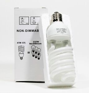 Compact Fluorescent (CFL) Bulb 45W Non-Dimmable Daylight Balanced