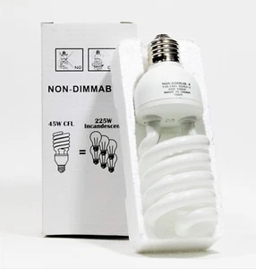 Compact Fluorescent (CFL) Bulb 45W Non-Dimmable Daylight Balanced - Picture 1 of 2
