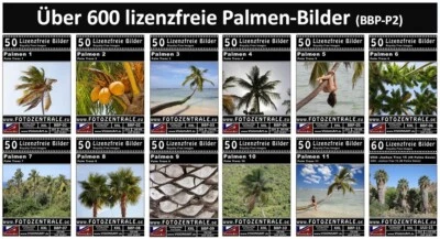 610 Lizenzfreie Profi-Bilder/Fotos Palmen Botanik Bäume (Royalty Free) UVP 228,- - Bild 1 von 4