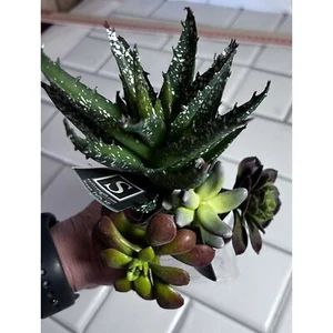 4 Various Artificial Succulents Faux Succulent Plants Home Garden Decor - Picture 1 of 13