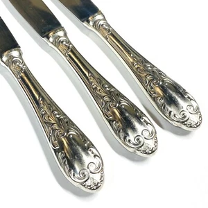 Carl Mertens Germany Ronosil 18/12 Stainless Steel CMR26 (3-Dinner Knives 9 3/4" - Picture 1 of 3