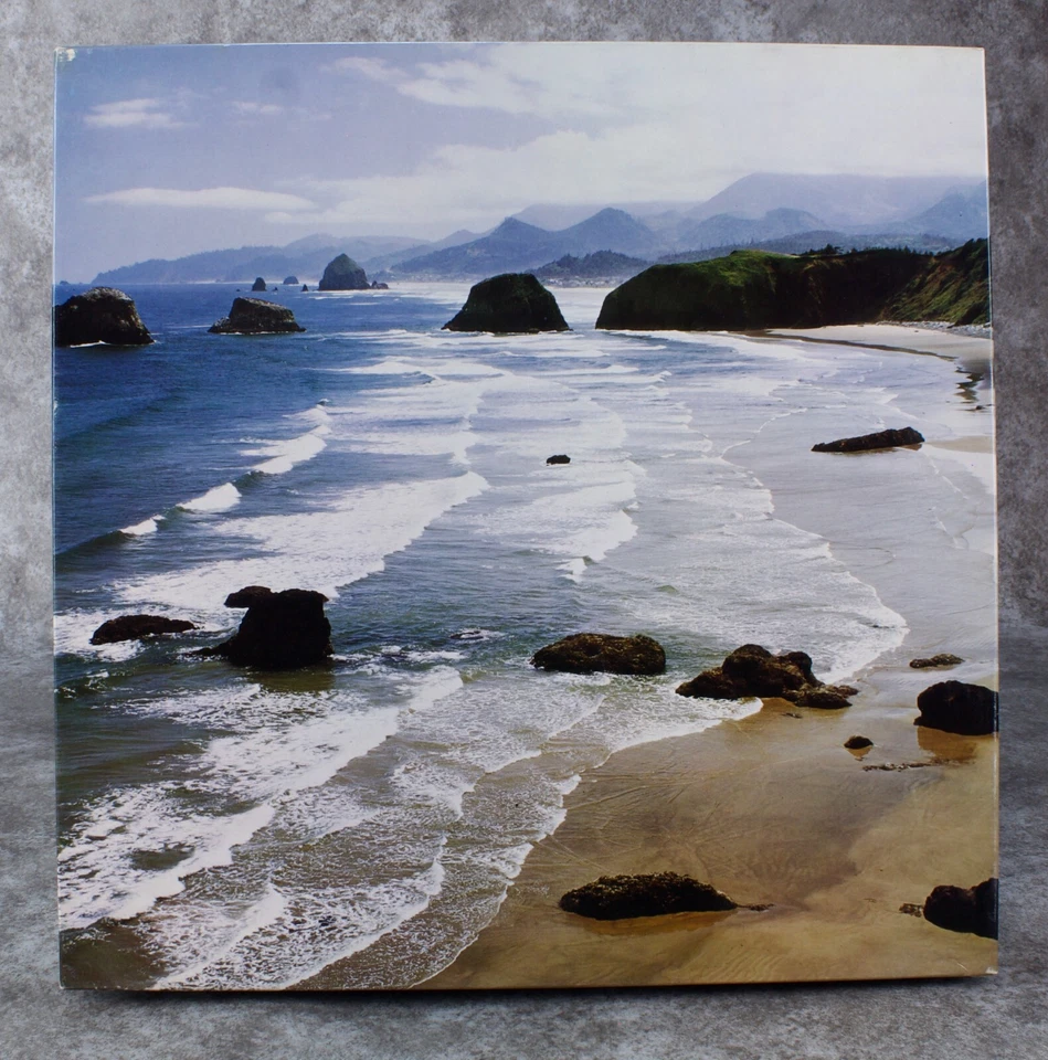 Springbok Jigsaw Puzzle 500+ Pcs  By The Sea - Image 1 of 1