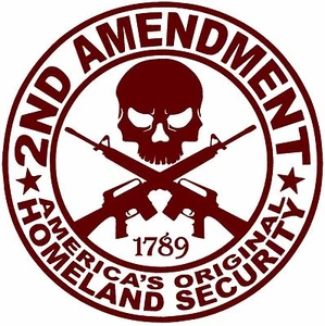 2nd Amendment Decal - 2A Gun Rights Skull Homeland Security Decals - Picture 1 of 14