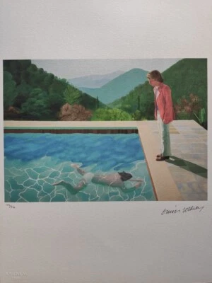 David Hockney signiert - Dive In - Zertifikat SPADEM Paris - Bild 1 von 4