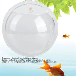 Mini Wall Mounted Hanging Transparent Fish Bowl Acrylic Fish Tank Aquarium - Picture 1 of 12