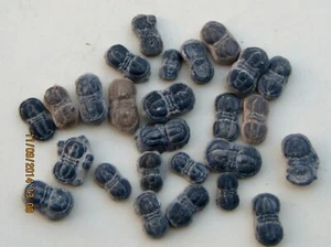  25 PERONOPSIS FOSSIL TRILOBITES LOOSE - Picture 1 of 2