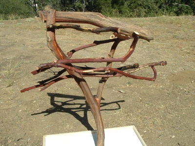 3FT GRAY GW LOVE NATURAL Manzanita Parrot Tree Stand bird perch PLAY STAND