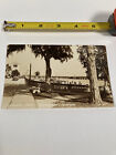Carte postale ancienne vintage RPPC vraie photo lamantin de Floride rivière Bradenton