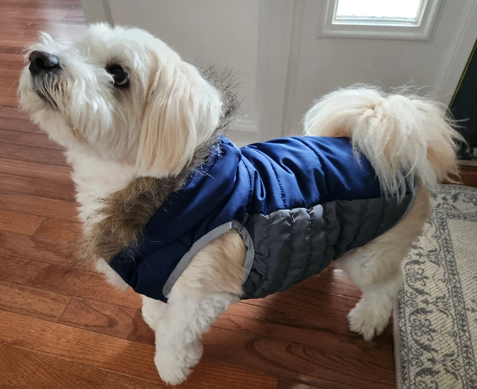 Chaleco acolchado de piel con capucha azul y gris nuevo con etiquetas mediano SimplyDog regalo otoño/invierno Foto 1 de 4