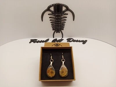 Fossil Shell Ammonite Orecchini Art.1sa - Immagine 1 di 4