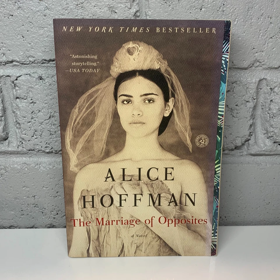 The Marriage of Opposites by Alice Hoffman (Paperback Book) Historical - image 1 of 4