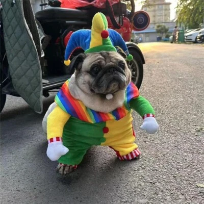 Lindo Casaco Cosplay Halloween Palhaço Cachorro Gato Frente Tops com Chapéu Engraçado - Imagem 1 de 4