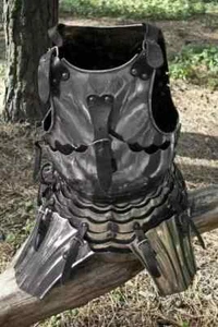 Medieval Steel Plate  Polished Cuirass Breastplate Cosplay LARP Chest SCA Armor - Picture 1 of 4