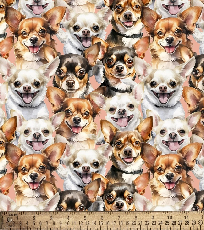 Chihuahuas de algodão cachorros filhotes animais animais animais de estimação tecido de algodão estampa por jarda D760.60 - Imagem 1 de 1