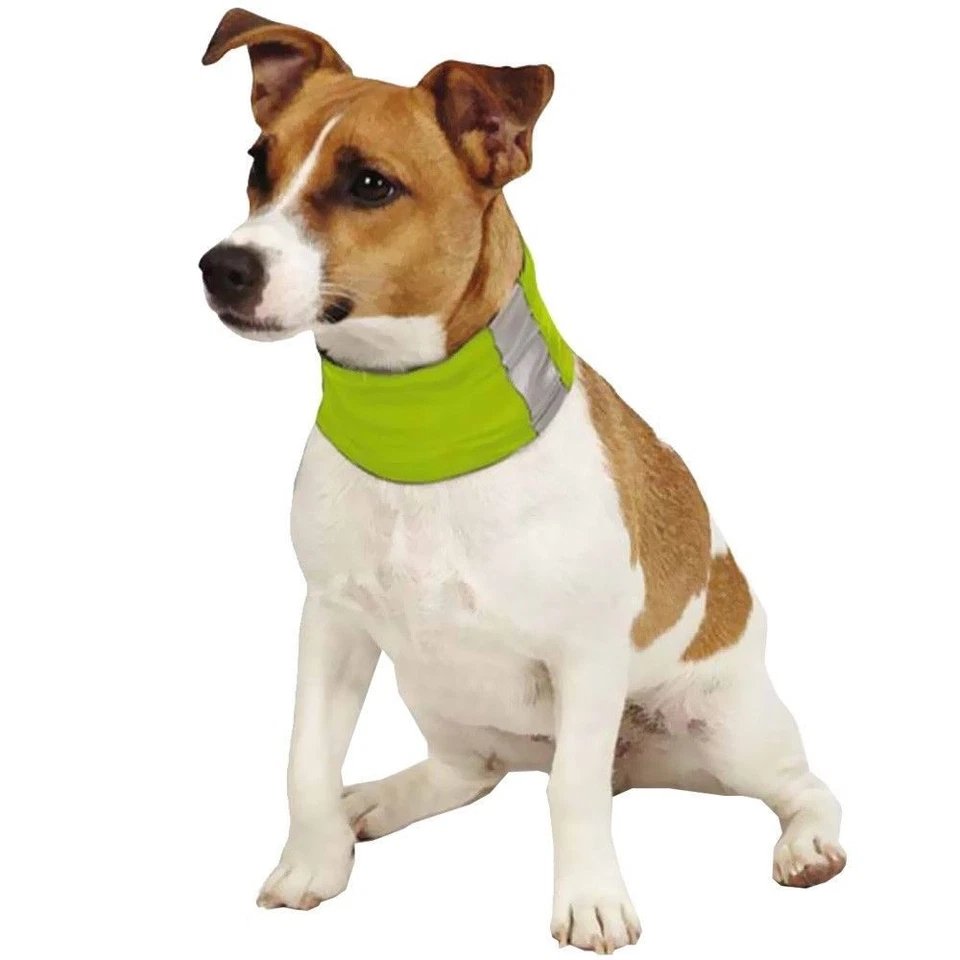 Polaina cuello protector contra insectos para perros grandes "verde" ~ NUEVA Foto 1 de 1