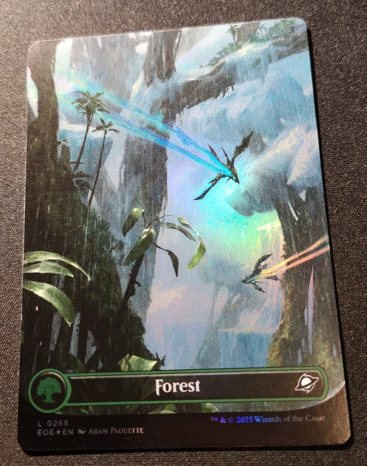 Forest - Foil - Borderless - EOE - MTG - EN - NM - 0266 - Image 1 of 1