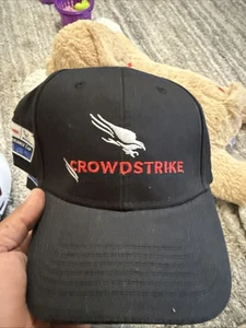 Crowdstrike Cap IMSA Endurance Cup - Bild 1 von 6