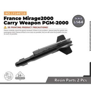 LY144716 1/144 Model Upgrade Parts France Mirage2000 Carry Weapon PGM-2000 - Picture 1 of 2