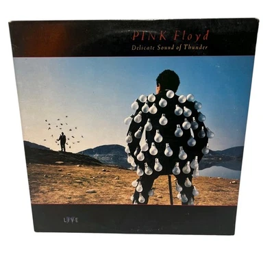 Pink Floyd Delicate Sound of Thunder Live Vintage Vinyl Double LP 1988 EX - Image 1 of 4