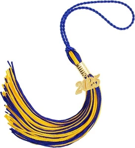 2025 Graduation Tassel, Tassel for Graduation Cap 2025, Graduation Cap Decoratio - Picture 1 of 7