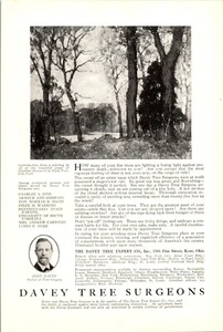 Davey Tree Surgeons Print Ad May 1921 B&W Nat'l Geographics 11"x7½" Full Page - Picture 1 of 1
