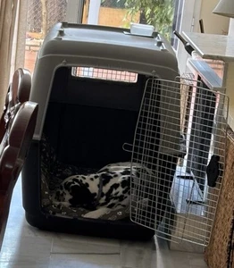 Big dogs kennel IATA certified - Picture 1 of 3