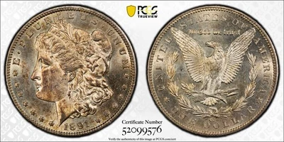 1891-CC Morgan dólar de prata PCGS genuíno - Detalhes UNC (limpo) - boa moeda - Imagem 1 de 4
