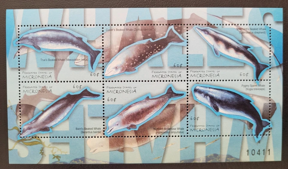 Micronesia 2001 / Ballenas del Pacífico / 6v ms Foto 1 de 1