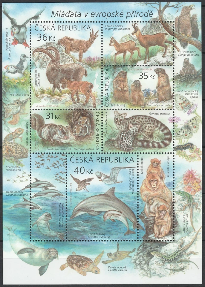 Czech Republic 2025 Fauna, Animals, Dolphins MNH sheet - Image 1 of 1
