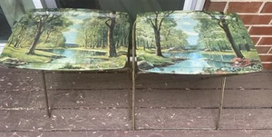 Robert Woods Fiberglass Landscape TV Dinner Trays-2 Retro Chic Boho MCM - Picture 1 of 9