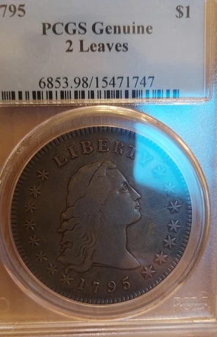 PCGS VF DETAILS 1795 FLOWING HAIR DOLLAR TWO LEAVES RIM Cover