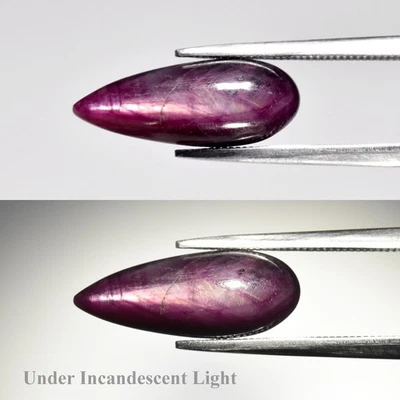 💎 6.19 克拉梨凸圆形天然紫色红猫眼红宝石-未加热,宝石 — 第 1/4 张图片