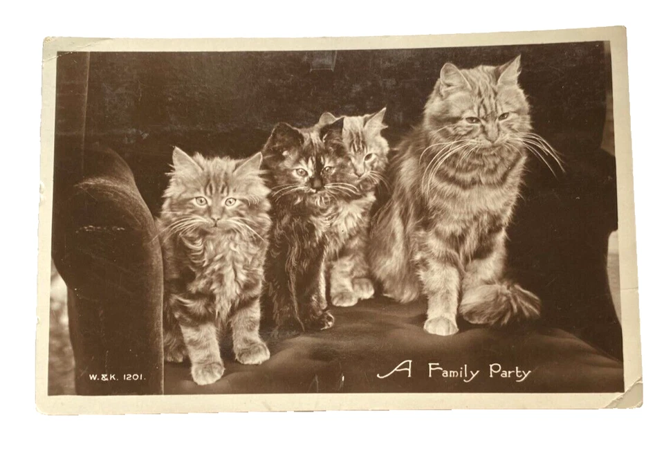 A Family Party  (Wildt & Kray) - c1930 - Image 1 of 1