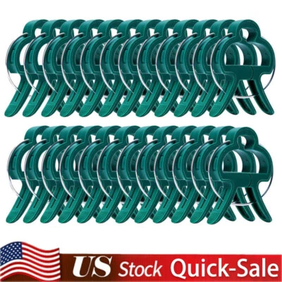 100 PIEZAS CLIPS GRANDES PARA PLANTAS Y JARDINES Soporte Tomate Vegetal Enrejado Cordel Corbatas Foto 1 de 4