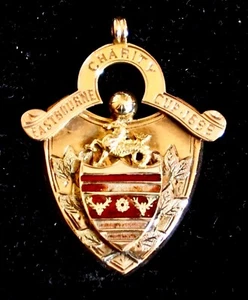 9.0gm 9ct Gold Football Medal. Eastbourne Charity Cup Winners 1899, Marlow FC. - Picture 1 of 4
