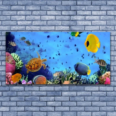 Wandbilder Glasbilder Druck auf Glas 140x70 Korallenriff Unterwasser Fische Natu - Bild 1 von 4
