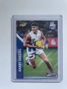 2024 Auskick Harry Sheezel - Picture 1 of 1