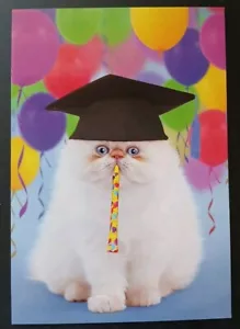 Funny Graduation Card - Picture 1 of 4