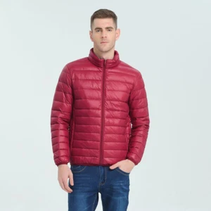 Abrigo acolchado acolchado más cálido invierno ligero talla grande para hombre talla grande XL-8XL - Imagen 1 de 19