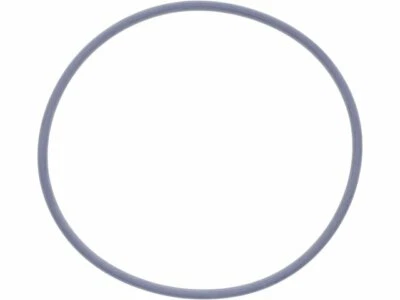 For 1999-2017 Ford E350 Super Duty Water Pump Gasket Victor Reinz 66236HH 2000 Foto 1 de 2