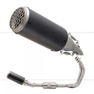 Scarico per Suzuki GSX8S Rete Carbonio 320mm Impianto Completo 2023 - 2024 - Foto 1 di 4