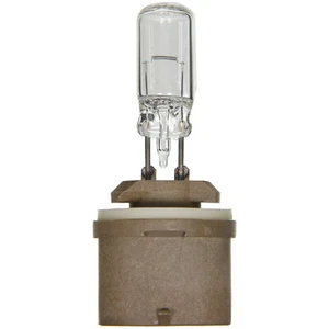 Turn Signal Light Bulb Wagner Lighting BP890 - Picture 1 of 4