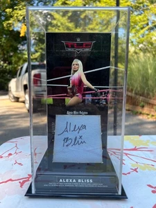 WWE TLC 2017 Alexa Bliss Signed Match Used Ring Canvas - Picture 1 of 3