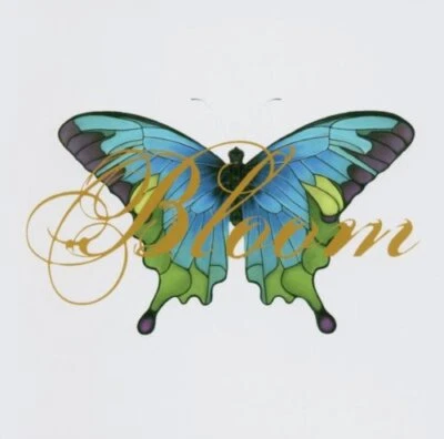 Sarah McLachlan - Bloom (Remix Album) - Sarah McLachlan CD PKVG The Cheap Fast - Image 1 of 2