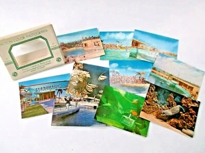 RPPC Mini Foto Souvenir Pack Miami Seaquarium Gene Aiken Action Fotos MCM - Bild 1 von 8