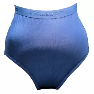 Breezies Set of 2 CLASSIC Nylon Lycra Womens Briefs QVC A45691 SAPPHIRE Size 6 - Picture 1 of 2