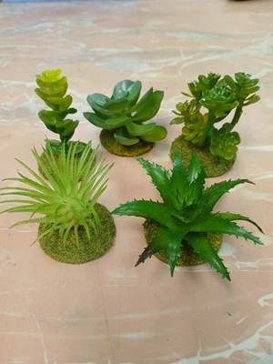5 Landscape Model Based Jungle Plants Mix Succulent wargaming scenery terrain 3" - Image 1 of 3
