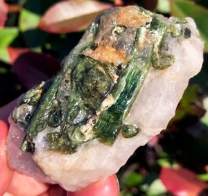 87,6 g ¡GUAU! Muestras minerales de cristal de turmalina verde natural crudo/Schorl ie2920 - Imagen 1 de 14